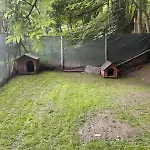 Le Flocon De Neige Valtournenche