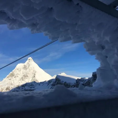 Le Flocon De Neige *