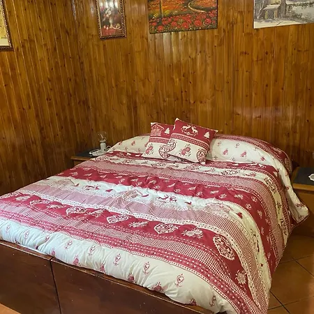 Le Flocon De Neige *